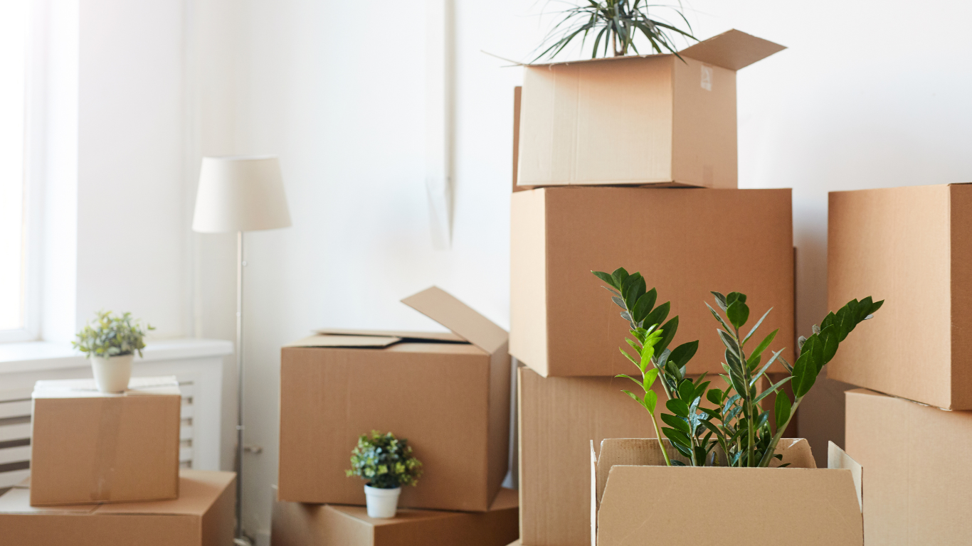 Read more about the article Remortgage or Move Home? Here’s What You Need to Know